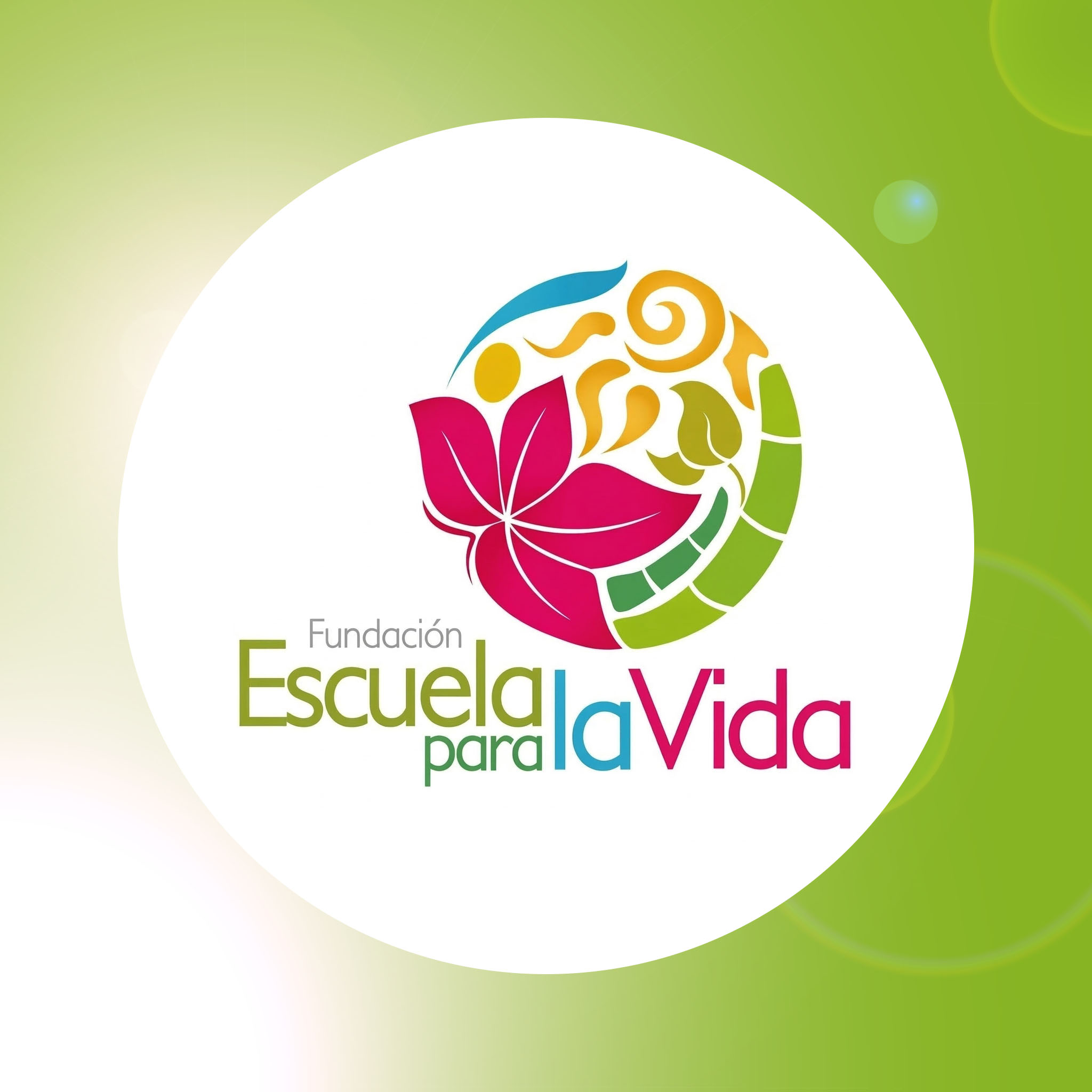 Fundación Escuela para la Vida